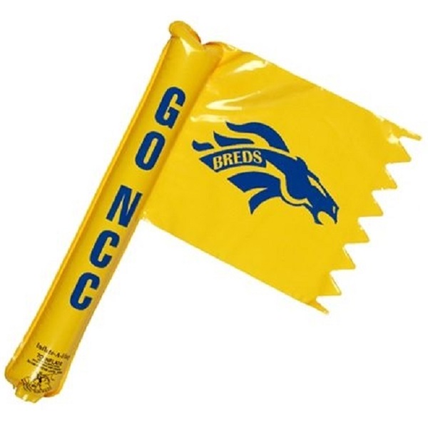 Custom Flag Cheering Stick 1