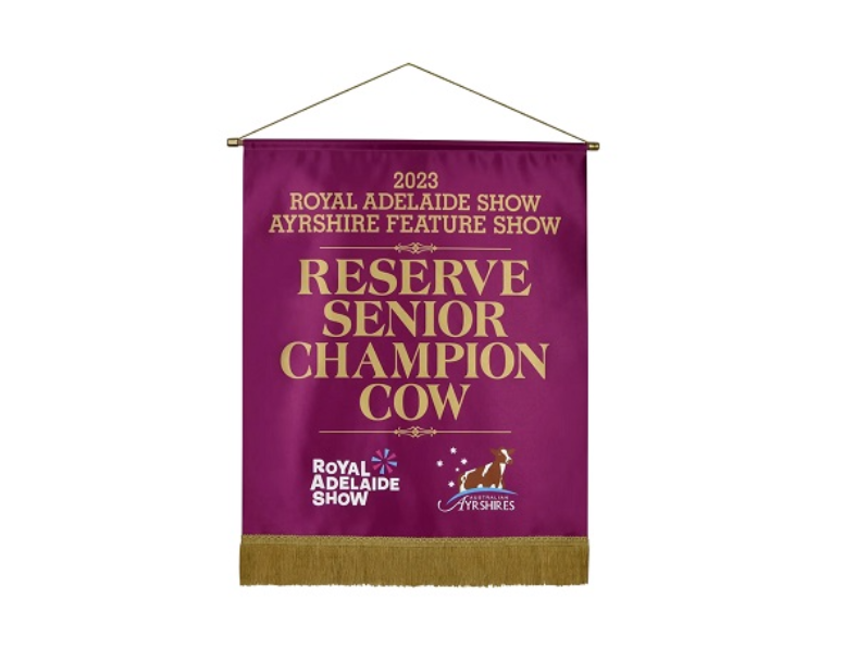 Triumph Silk Banners